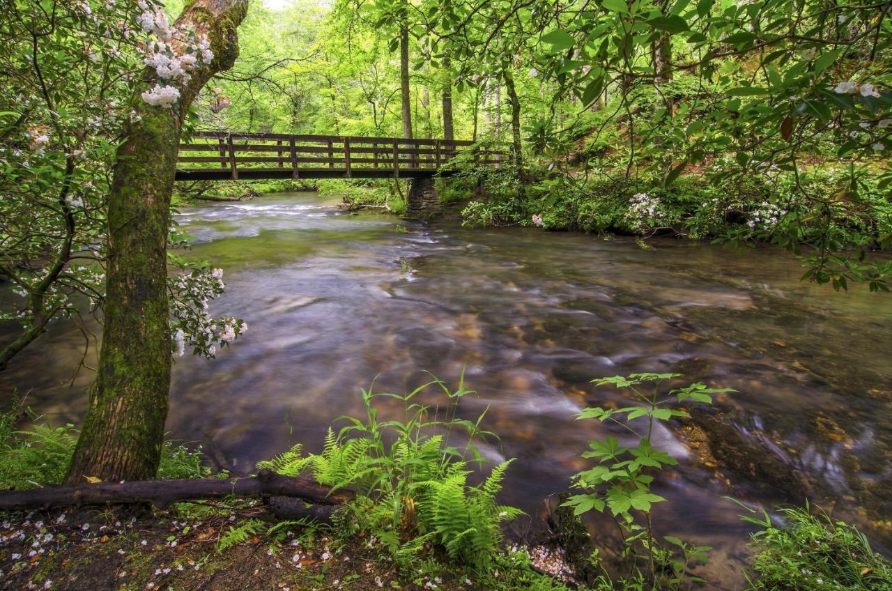 Bear Tracks, 2 Bedrooms, Hot Tub, Fireplace, Wifi, Jetted Tub, Sleeps 6 Gatlinburg Eksteriør bilde